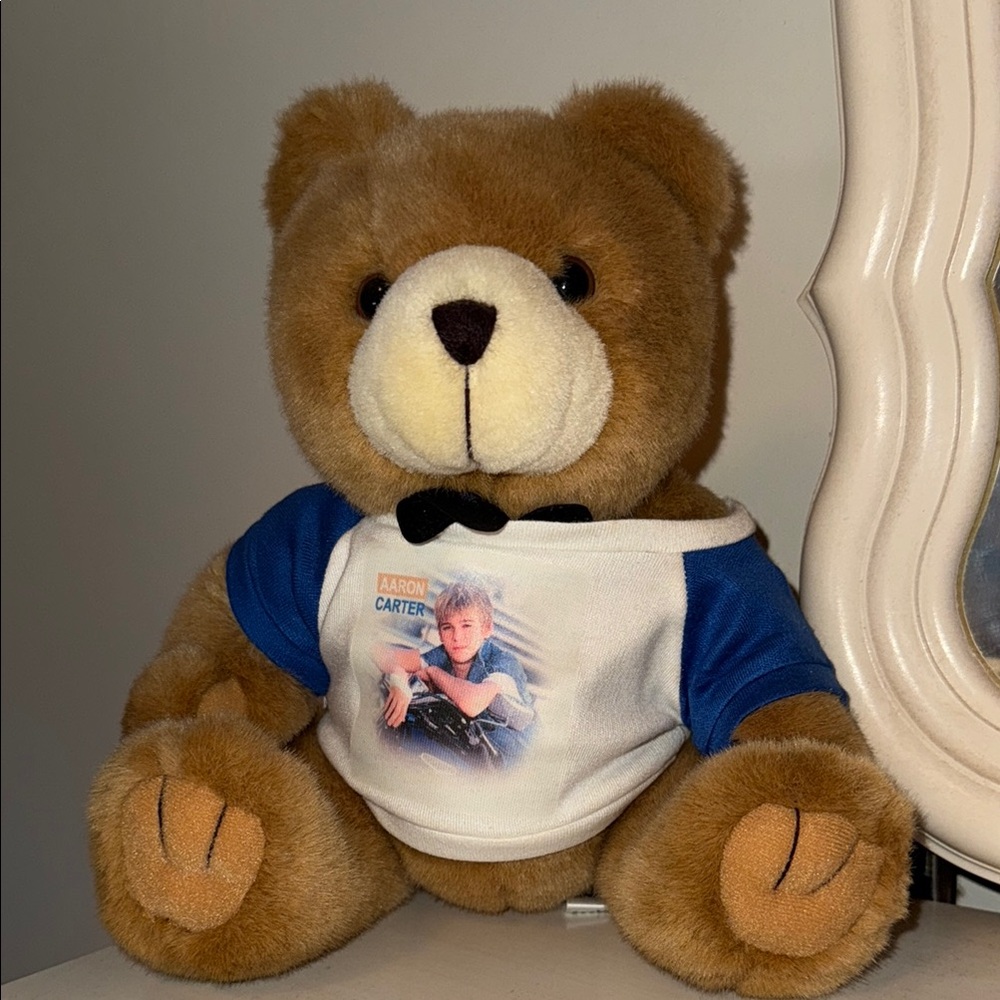 Aaron Carter Collectors Bear
